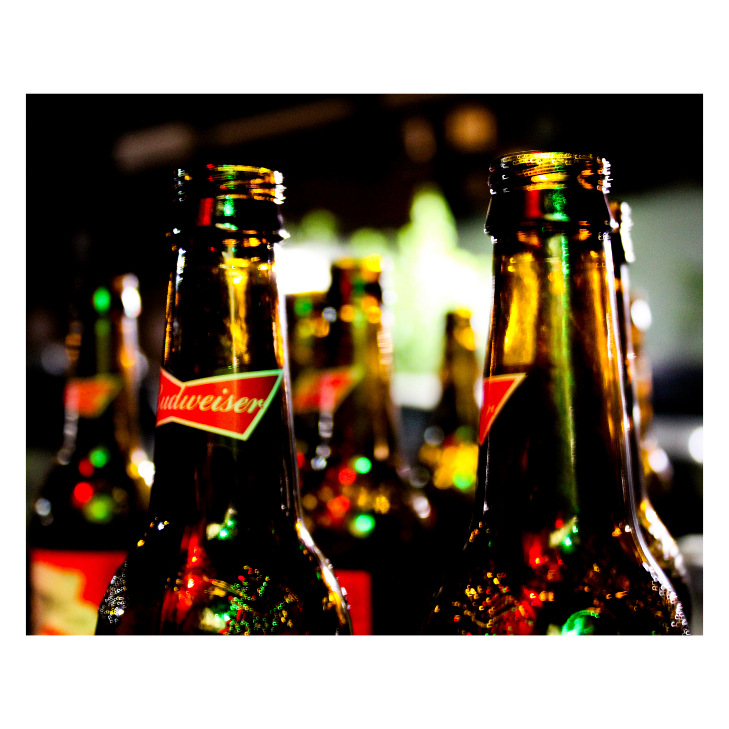 Budweiser Bottles Photo Print - The Bier Stube Collection