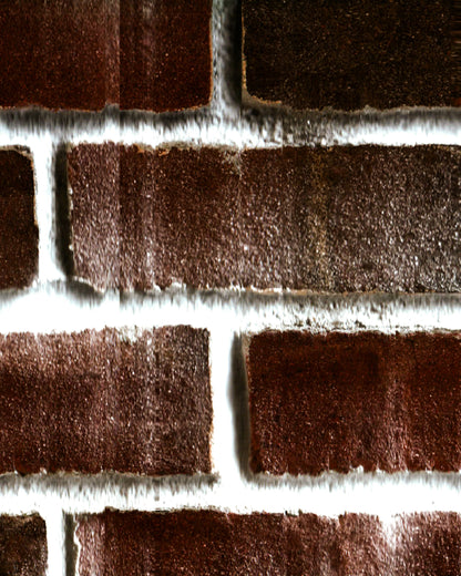 Brick Patio Texture Print - The Bier Stube Collection