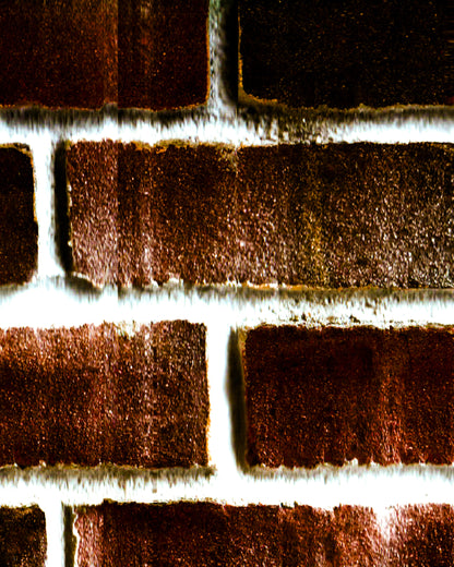 Brick Patio Texture Print - The Bier Stube Collection