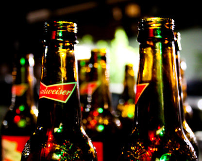 Budweiser Bottles Photo Print - The Bier Stube Collection