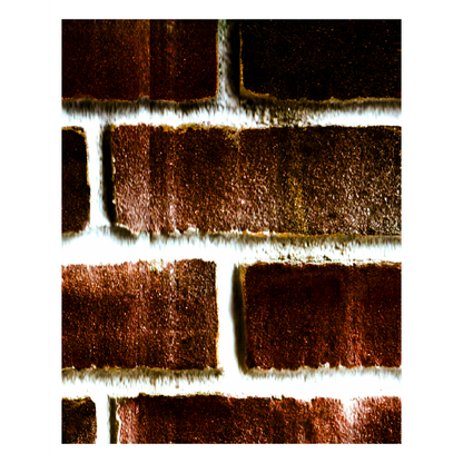 Brick Patio Texture Print - The Bier Stube Collection