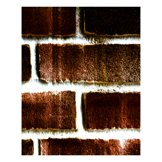 Brick Patio Texture Print - The Bier Stube Collection